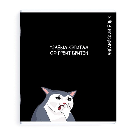 Тетрадь предметная 48л АНГЛИЙСКИЙ ЯЗЫК «КОТЫ МЕМЫ» выборочный ТВИН УФ-лак 69828 1/48