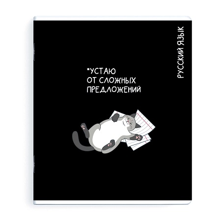 Тетрадь предметная 48л РУССКИЙ ЯЗЫК «КОТЫ МЕМЫ» линия выборочный ТВИН УФ-лак 69830 1/48