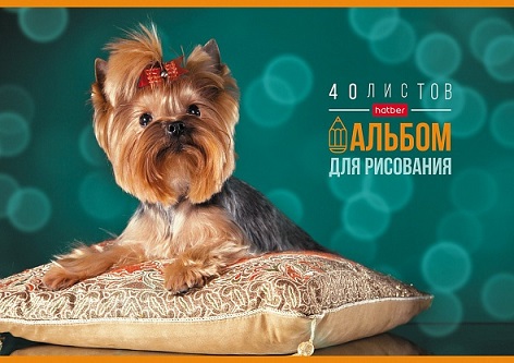 Альбом 40л. -Любимые питомцы- на скобе ассорти 40А4B 1/5/35