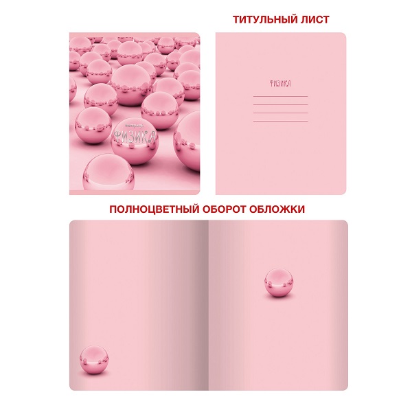 Тетрадь предметная 48л ФИЗИКА  -Розовые мечты-   ТТФ486819