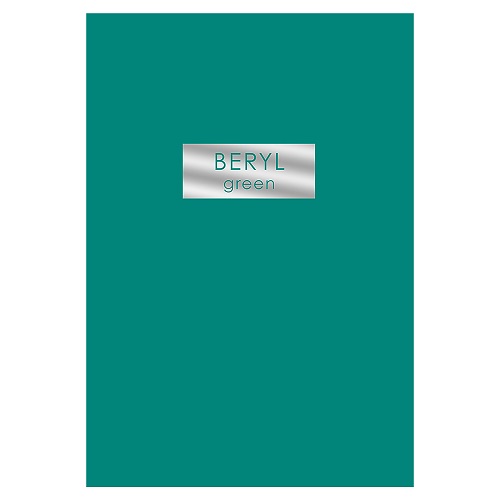 Тетрадь 48л А4- "Beryl Green" клетка  soft touch, тиснение фольгой ТФ4485328
