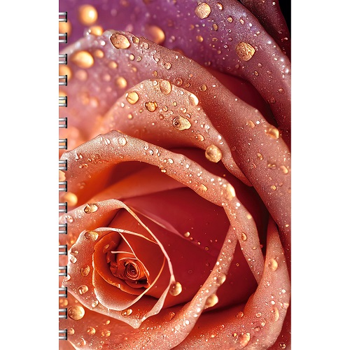 Тетрадь 96л.А4 гребень "Роза" клетка выб.лак,блестки «Золото»   ТСБ4965195