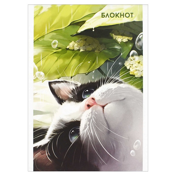 Блокнот А6  40л "УТРЕННИЙ КОТ" 1 скоба сверху, клетка   68126