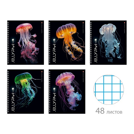 Тетрадь 48л. А5 гребень "МЕДУЗЫ ФЕНТЕЗИ" клетка 5в.  7-48-1346   1/48