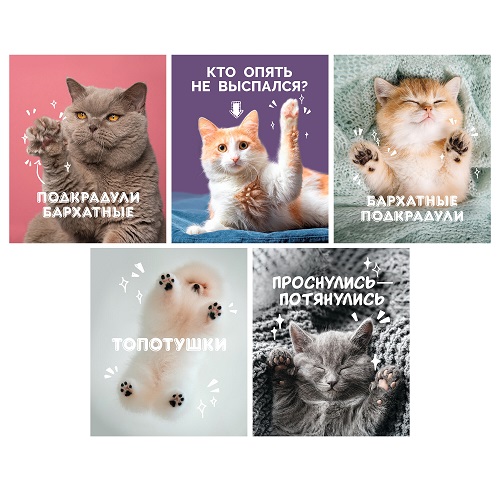 Тетрадь 80л. А5 гребень "Подкрадули" клетка выб.лак   асс. ТСЛ808828  1/6/60