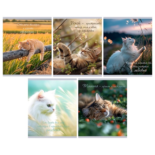 Тетрадь 48л. А5 "Расслабься"  клетка гл.ламинация 5в.  ТК489642   1/10/100