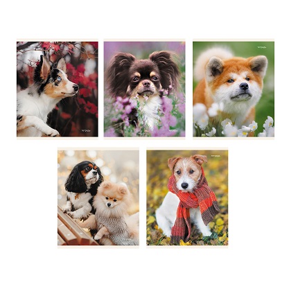 Тетрадь 96 л "Пушистые друзья"  клетка   асс.  ТК968386    1/50