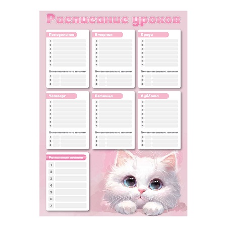 Расписание уроков А3  БЕЛЫЙ КОТ   72582