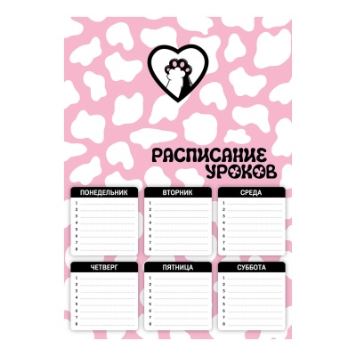 Расписание уроков А4 КОТОЛАПЫ   72592