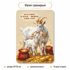 Магнит Символ года 2027г винил 64×83 мм  арт.10405